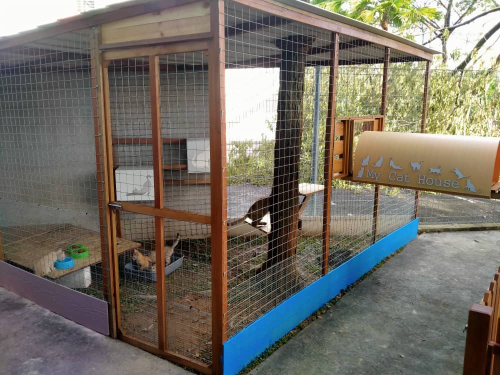 WhatsApp Image 2022-08-01 at 4.14.16 PM (1)